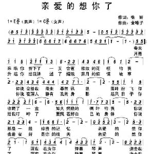 亲爱的想你了_通俗唱法乐谱_词曲:张妍 金嗓子