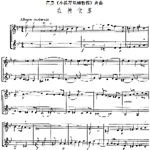 小提琴谱 | 霍曼 小提琴基础教程 选曲 在教堂里 二重奏