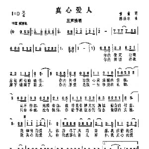 真心爱人_通俗唱法乐谱_词曲:童童 陈涤非