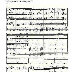 Symphony No.2 in C Minor, Op.17 C小调第二交响曲, Op.17