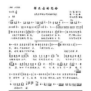 挥不去的思念_歌曲简谱_词曲:杨俊强 张平福