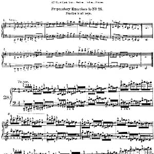 Technical Studies 60 Progressive Exercises 钢琴谱 约瑟夫 皮史纳