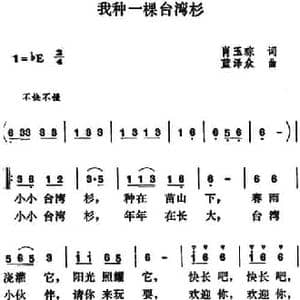 我种一棵台湾杉_民歌简谱_词曲:肖玉琮 蓝泽众