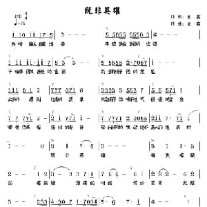既非英雄_通俗唱法乐谱_词曲:金鑫 金鑫