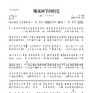樱花树下的约定_歌曲简谱_词曲:可泽 可泽