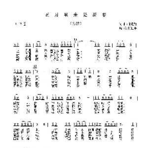 正月里来是新春_歌谱投稿_词曲:张建新 张建新