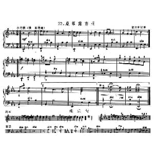 手风琴谱 | 桑塔露齐亚