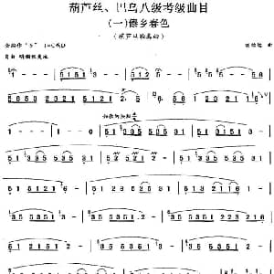 巴乌八级考级曲目 傣乡春色 胡结续