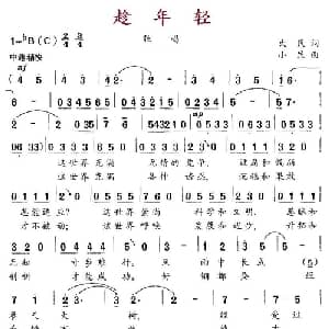 趁年轻_通俗唱法乐谱_词曲:大民 小民