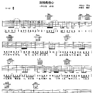 别怕我伤心 吉他谱 张信哲 李宗盛 李宗盛
