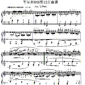 车尔尼 钢琴谱