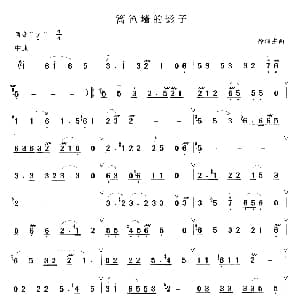笛子谱 | 篱笆墙的影子 徐沛东