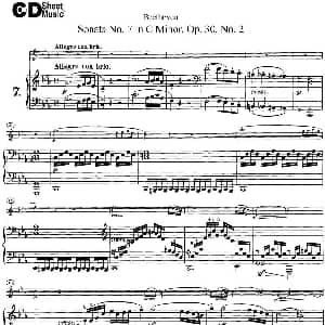 小提琴谱 | Violin Sonata No.7 in C Minor Op.30 No.2 小提琴 钢琴伴奏