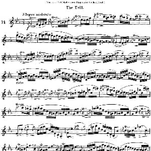 小提琴谱 | 马扎斯小提琴练习曲 Op.36 第一册 特殊练习曲 14