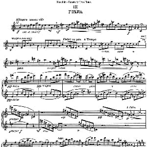 长笛曲谱 | 考埃琳双长笛奏鸣曲 NO.3 Koechlin 考埃琳