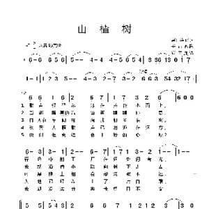 山楂树_歌谱投稿_词曲:常世华译词 千行配歌