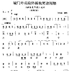 越调 城门外羽扇轻摇我笑迎周郎 诸葛亮吊孝 选段 申凤梅
