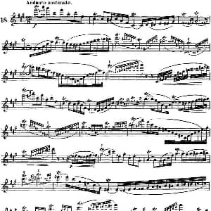 长笛曲谱 | 柯勒30首高级长笛练习曲作品75号 NO.18 Kohler 柯勒