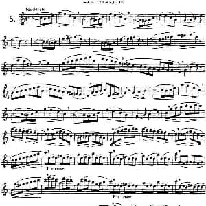 长笛曲谱 | 二十首练习曲作品132号之5 Garibold 加里波第