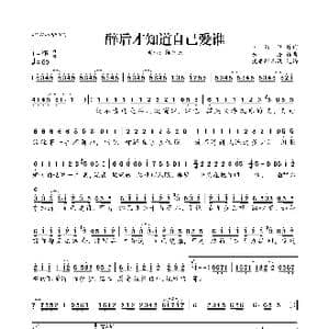 醉后才知道自己爱谁_歌曲简谱_词曲:陈红卫 东浩