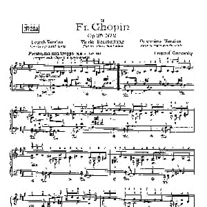 53首以肖邦练习曲为素材而作的练习曲 钢琴谱 里奥鲍尔德 戈多夫斯基