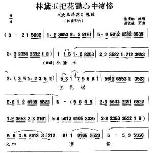 滇剧 林黛玉把花锄心中凄惨 黛玉葬花 林黛玉唱段 张禹卿