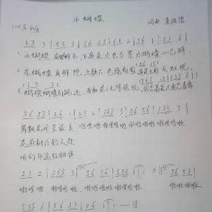 小蝴蝶_歌谱投稿_词曲:袁进德 袁进德