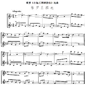 小提琴谱 | 霍曼 小提琴基础教程 选曲 紫罗兰园地 二重奏