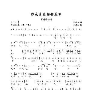 你是月亮恬静美丽_歌谱投稿_词曲:林春雨 刘其发