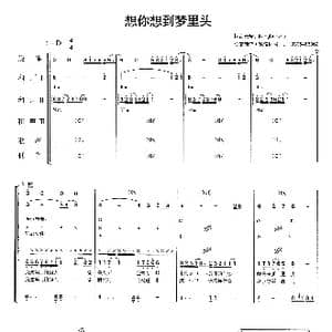 想你想到梦里头_歌曲简谱