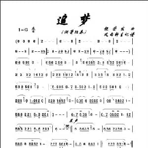 追梦 埙或箫独奏