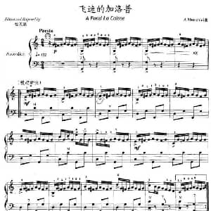 手风琴谱 | 飞速的加洛普