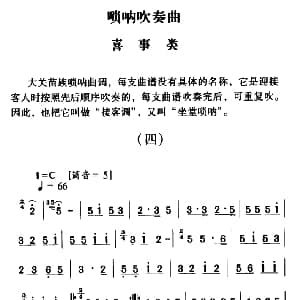 大关苗族唢呐吹奏曲调 喜事类 四