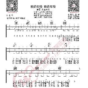 老王乐队 我还年轻 吉他谱_歌曲简谱