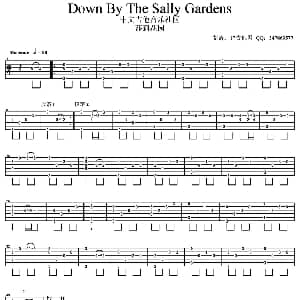 Down By The Sally Gardens 吉他谱