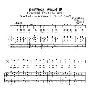 你想要跳舞,我的小伯爵 奥地利 _外国歌谱_词曲: 奥 W.莫扎特