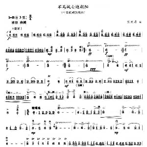 军马战士迎朝阳 中音板胡