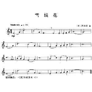 雪绒花 小号 美 罗杰斯