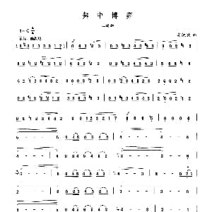 二胡谱 | 舞中博弈 晏敏敏