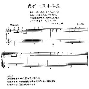 我有一只小羊羔 钢琴谱