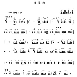 二胡谱 | 昭君怨 民间乐曲 王寿庭整理订谱