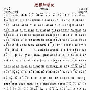 拔根芦柴花_歌曲简谱_词曲: 王爱康编曲