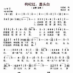 枸杞红,盖头白_歌曲简谱_词曲:刘爱斌 黄金勇