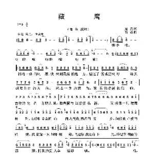 藏鹰_歌曲简谱_词曲:周兵 石焱