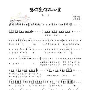 想你爱你在心里_歌谱投稿_词曲:周丽伟 江南雨