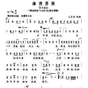 海西男孩_通俗唱法乐谱_词曲:王鼎南 王鼎南