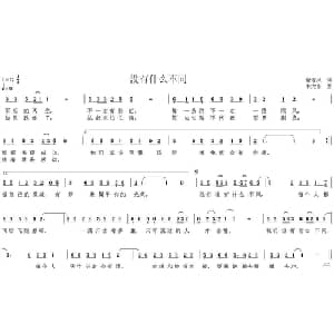 没有什么不同_通俗唱法乐谱_词曲:徐若风 韦龙东