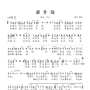 那片海_通俗唱法乐谱_词曲:韩红 韩红