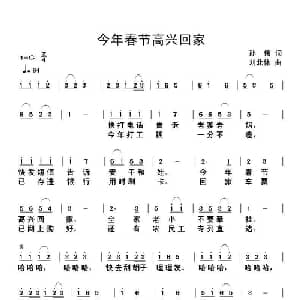 今年春节高兴回家_通俗唱法乐谱_词曲:孙伟 刘北休