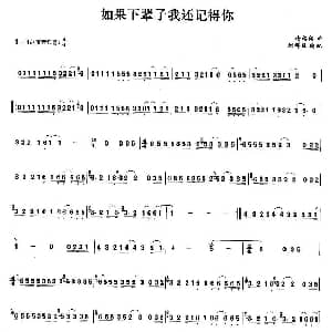 笛子谱 | 如果下辈子我还记得你